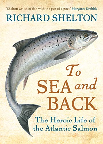 9781843547846: To Sea and Back: The Heroic Life of the Atlantic Salmon