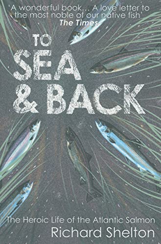 Stock image for To Sea & Back: The Heroic Life of the Atlantic Salmon for sale by ThriftBooks-Atlanta