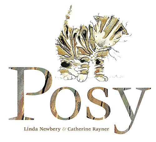 Stock image for Posy for sale by WorldofBooks