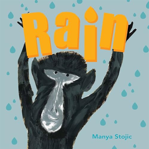 Stock image for Rain: 1 for sale by WorldofBooks