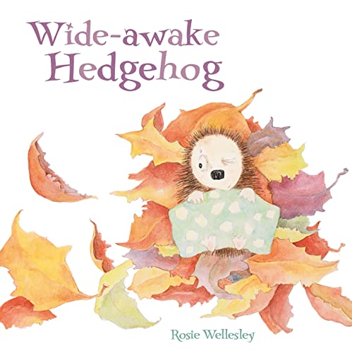 Stock image for Wide-awake Hedgehog for sale by SecondSale
