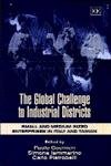 Imagen de archivo de The Global Challenge to Industrial Districts: Small and Medium-sized Enterprises in Italy and Taiwan a la venta por Phatpocket Limited