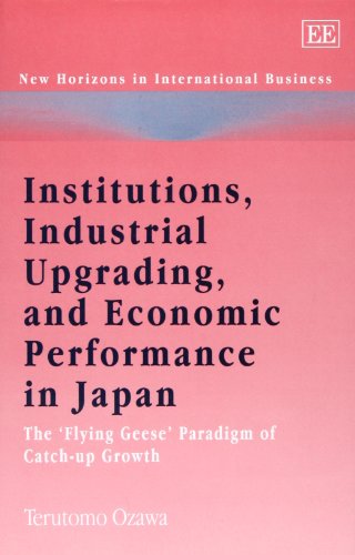 Imagen de archivo de Institutions, Industrial Upgrading, and Economic Performance in Japan: The Flying Geese Paradigm of Catch-up Growth (New Horizons in International Business series) a la venta por Ergodebooks