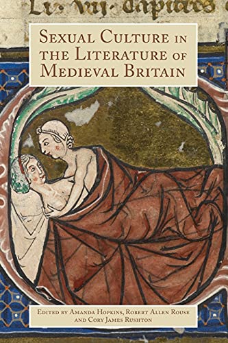 Beispielbild fr Sexual Culture in the Literature of Medieval Britain zum Verkauf von Blackwell's