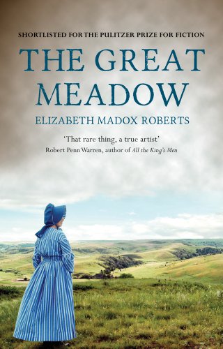 9781843913887: The Great Meadow