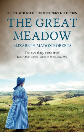 Stock image for The Great Meadow for sale by WorldofBooks