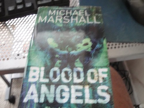 9781843958345: Blood Of Angels