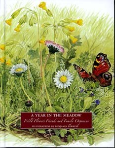 Stock image for A Year in the Meadow - wild Flowers Friends and Family Organiser for sale by WorldofBooks