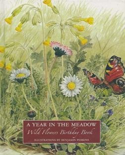 Stock image for A Year in the Meadow for sale by WorldofBooks