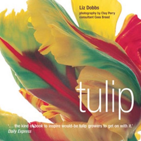 Beispielbild fr Tulip zum Verkauf von WorldofBooks