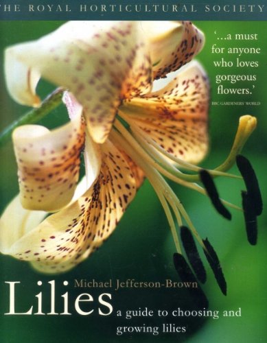 Stock image for Lilies. A guide to choosing & growing lilies for sale by Apeiron Book Service