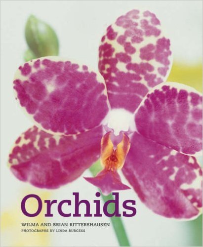 Beispielbild fr Orchids zum Verkauf von Wonder Book