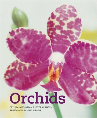 9781844001989: Orchids