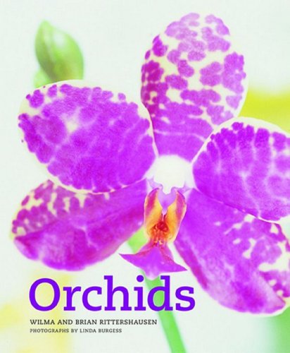 Beispielbild fr Orchids zum Verkauf von WorldofBooks