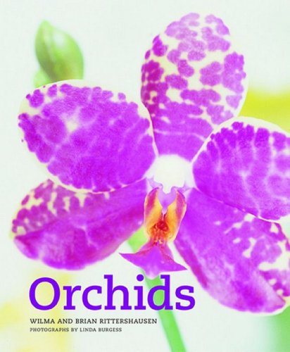 9781844004294: Orchids