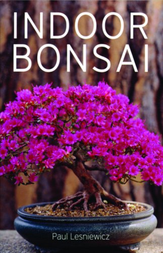 Imagen de archivo de Indoor Bonsai a la venta por MusicMagpie