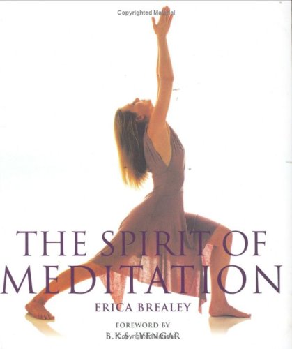 Stock image for Spirit of Meditation for sale by Kennys Bookstore