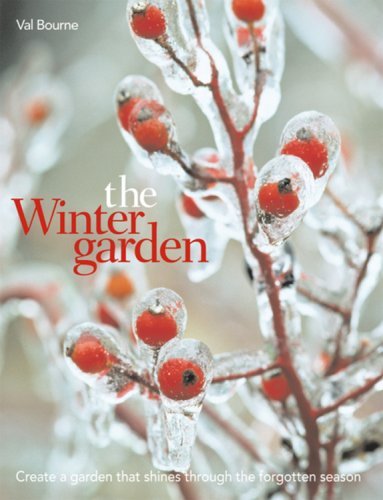 Stock image for The Winter Garden : Create a Garden That Shines Through the Forgotten Season for sale by Better World Books