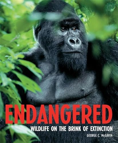 Beispielbild fr Endangered: Wildlife on the Brink of Extinction zum Verkauf von WorldofBooks