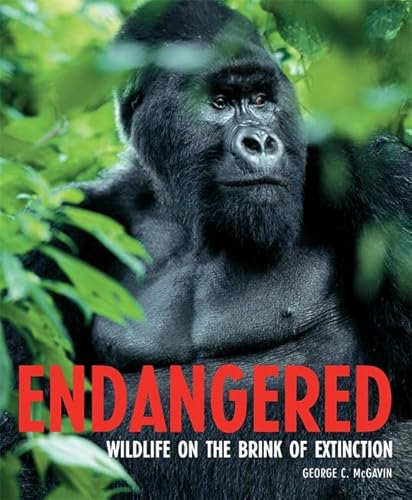 Imagen de archivo de Endangered: Wildlife on the Brink of Extinction a la venta por WorldofBooks