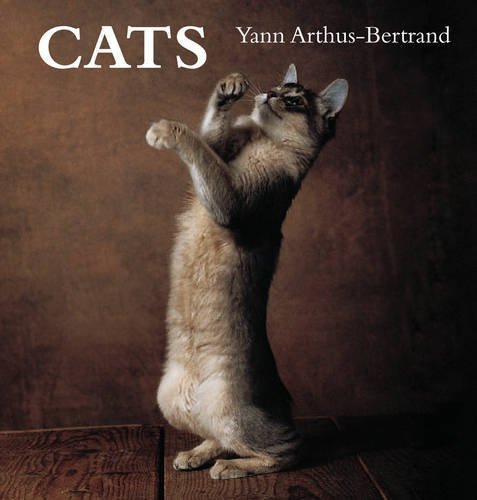 Beispielbild fr Cats zum Verkauf von WorldofBooks