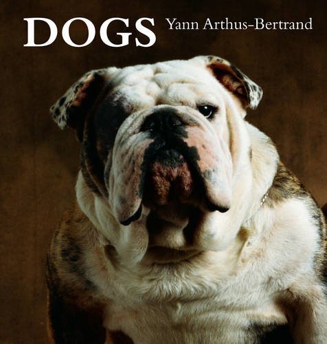 Imagen de archivo de Dogs a la venta por WorldofBooks