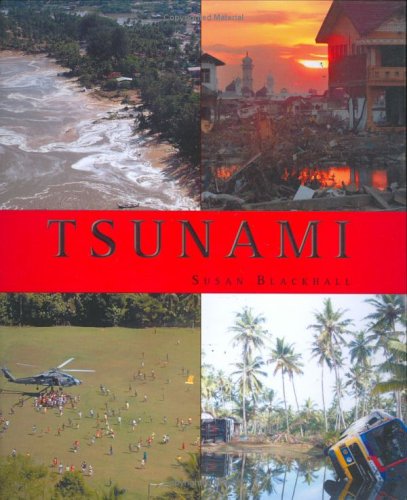 Imagen de archivo de Tsunami a la venta por HPB-Diamond