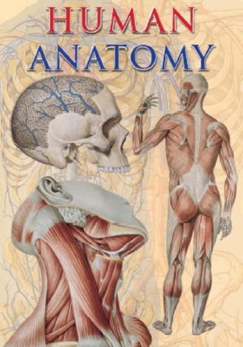9781844060795: Human Anatomy (TAJ Big Books S.)