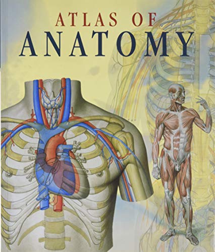 Beispielbild fr Atlas of Human Anatomy Edition: Reprint zum Verkauf von WorldofBooks