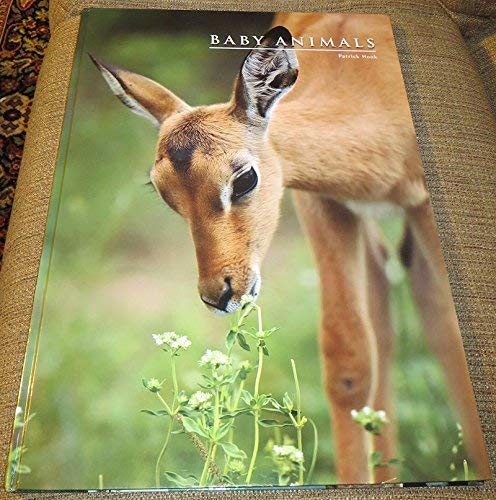 Imagen de archivo de BABY ANIMALS a la venta por Ergodebooks