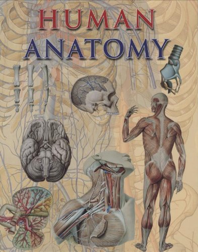 Beispielbild fr Human Anatomy zum Verkauf von ThriftBooks-Dallas