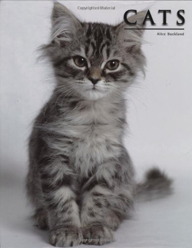 Beispielbild fr Cats zum Verkauf von Reuseabook