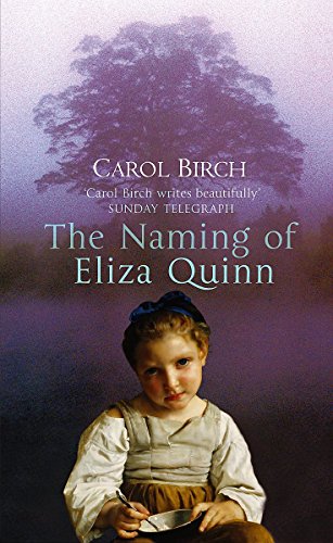 Stock image for The Naming Of Eliza Quinn for sale by WorldofBooks