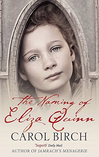 Imagen de archivo de The Naming of Eliza Quinn a la venta por Better World Books