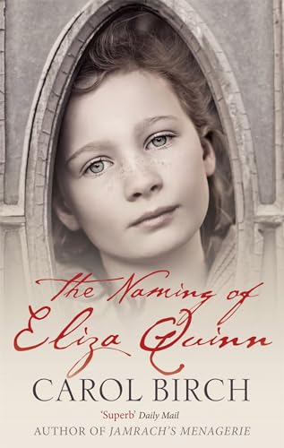 Stock image for The Naming of Eliza Quinn for sale by Better World Books