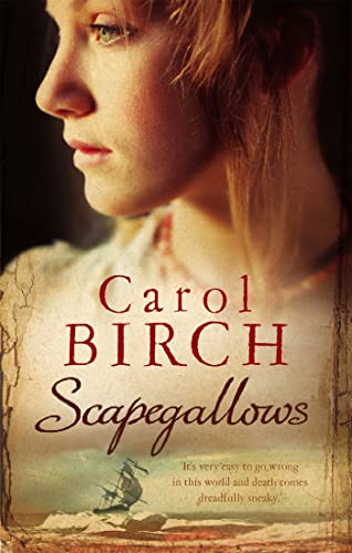 Imagen de archivo de Scapegallows a la venta por ThriftBooks-Dallas