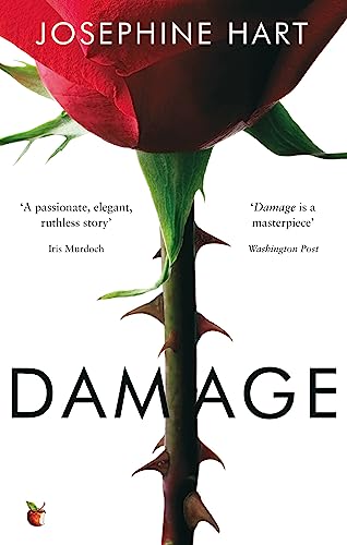 Stock image for Damage: INSPIRATION FOR THE NETFLIX SERIES OBSESSION for sale by WorldofBooks