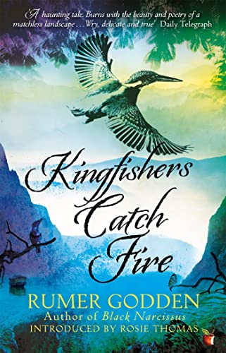 9781844088423: Kingfishers Catch Fire