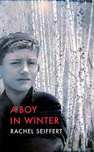 Imagen de archivo de A Boy in Winter a la venta por Better World Books