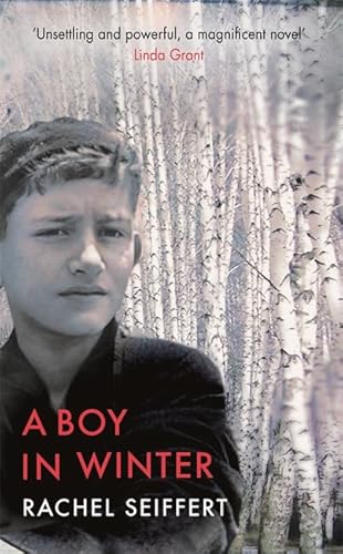 Imagen de archivo de A Boy in Winter a la venta por HPB-Movies