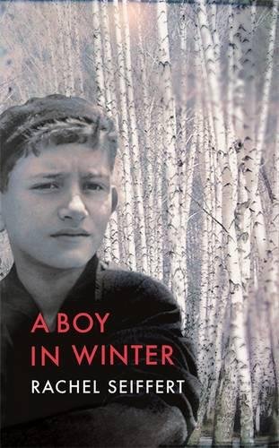 9781844089970: A Boy in Winter