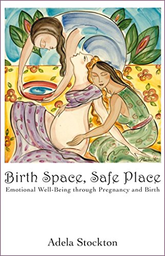 Stock image for Birth Space, Safe Place: Emotional Well-Being Through Pregnancy and Birth for sale by GF Books, Inc.