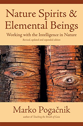 NATURE SPIRITS AND ELEMENTAL BEINGS: Working With The Intelligence In Nature (new edition)