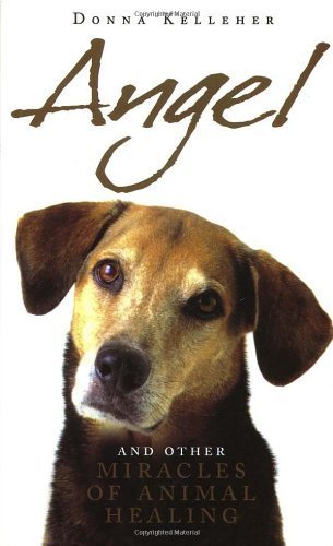 Stock image for Angel: And Other Miracle of Holistic Animal Healing for sale by WorldofBooks