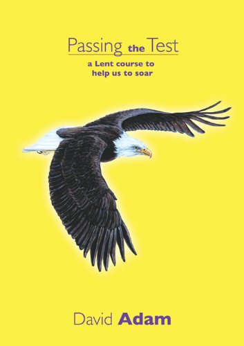 Stock image for Passing The Test: A Lent Course to Help Us to Soar for sale by WorldofBooks