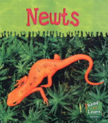 Read and Learn: Ooey-Gooey Animals - Newts (Read & Learn) (Read & Learn) (9781844210312) by Lola M. Schaefer