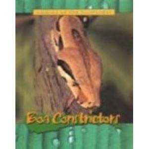 9781844210909: Boa Constrictors (Animals of the Rainforest S.)