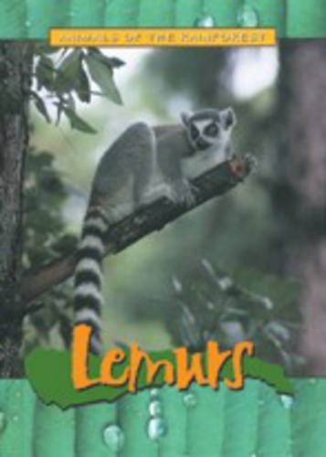 9781844210947: Animals Of The Rainforest: Lemurs Hardback