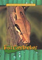 9781844210961: Animals of the Rainforest: Boa Constrictors
