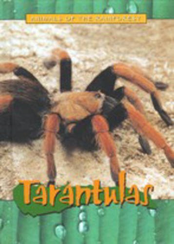 Tarantulas (Animals of the Rainforest) (9781844211036) by Christy Steele